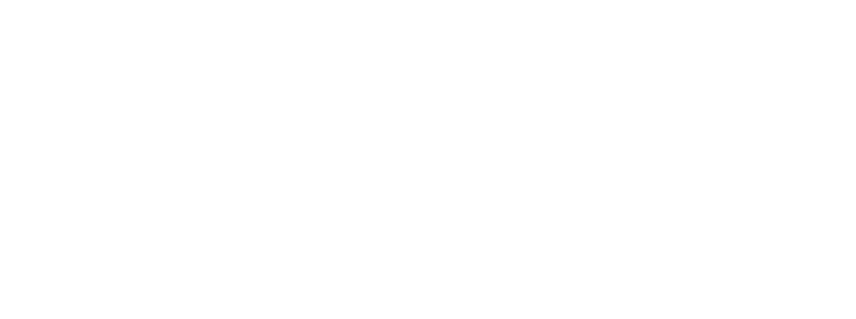 Diego Columbus logo